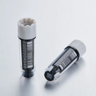 艾本德Eppendorf CryoStorage Vial, 0.5 mL, 不含 DNase、RNase、人類 DNA 和內(nèi)毒素；外螺紋，預(yù)先加蓋灰色管蓋，帶 2D SafeCode (DataMa